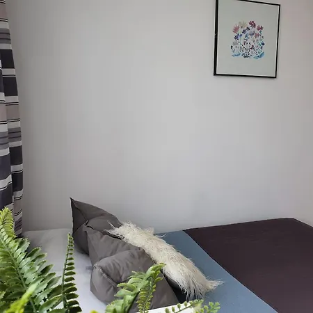 Mieszkanie Subisa Zabianka *
